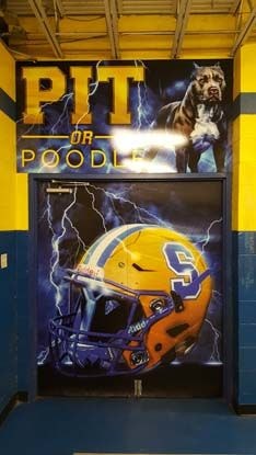 Wall Murals and Graphics