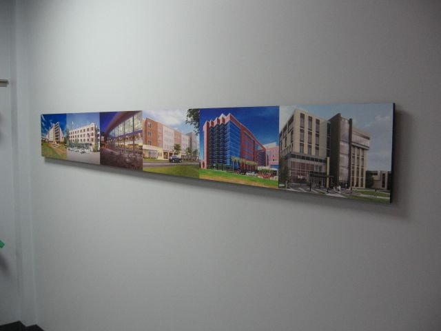 Wall Murals and Graphics
