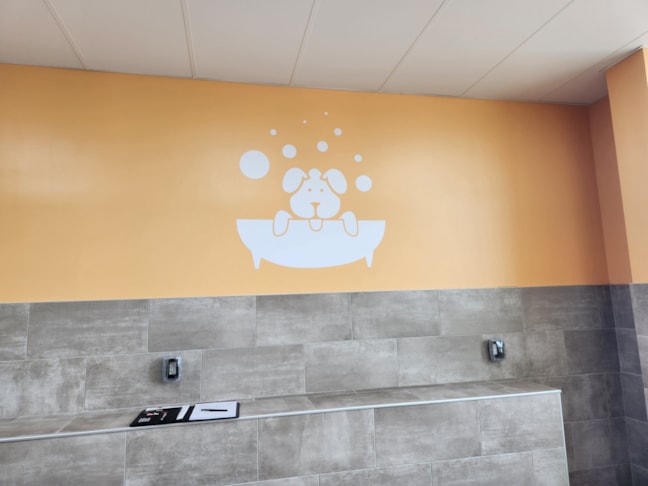 Wall Murals & Graphics