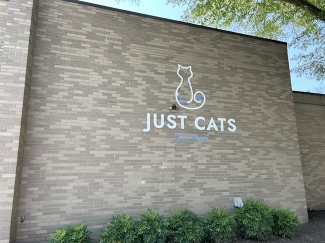 3D Signs & Dimensional Letters