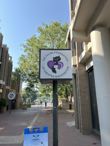 Changeable Letter Signs & Message Boards