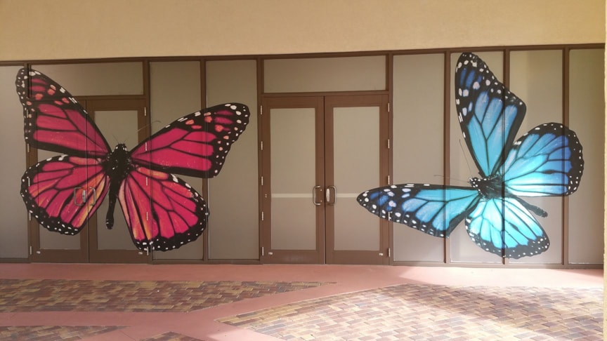 Window Decals, Signage and Graphics