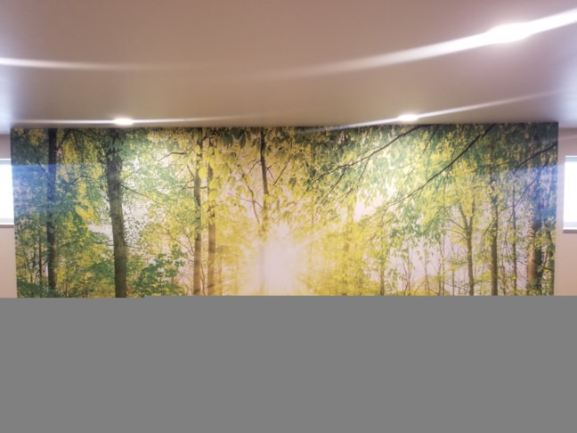 Wall Graphics, Murals, & Custom Wallpaper