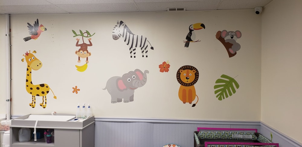 Wall Graphics, Murals, & Custom Wallpaper