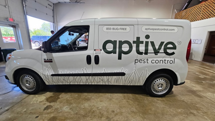 Vehicle Wraps