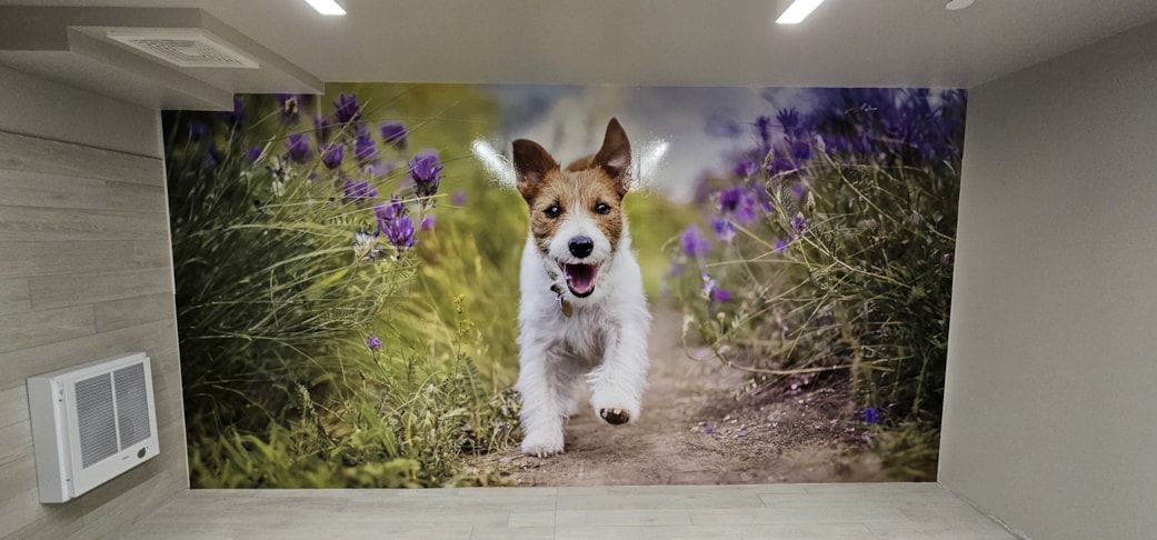 Wall Murals & Graphics