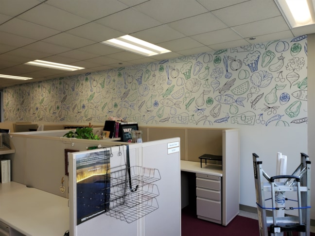 Wall Murals & Graphics