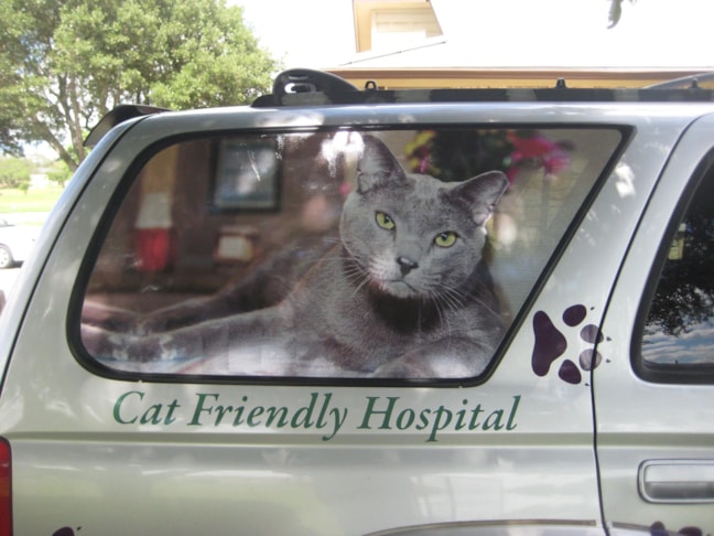 Vehicle Decals and Lettering