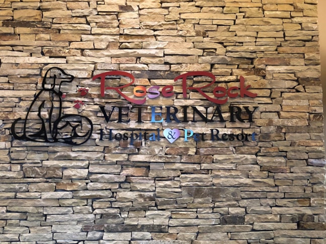 3D Signs & Dimensional Letters & Logos